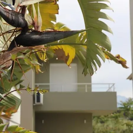 άνετο πολυτελές