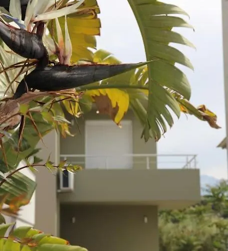 άνετο πολυτελές