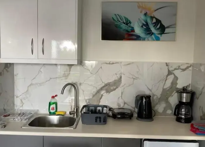 άνετο πολυτελές